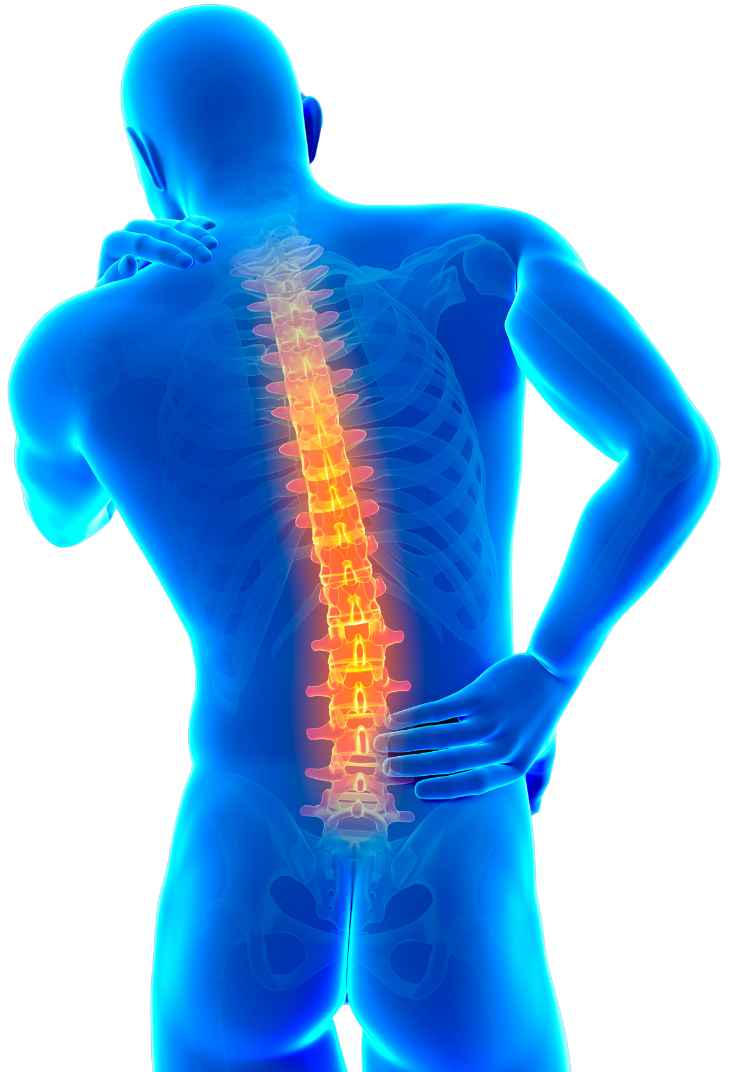 Chiropractic Care Illustration